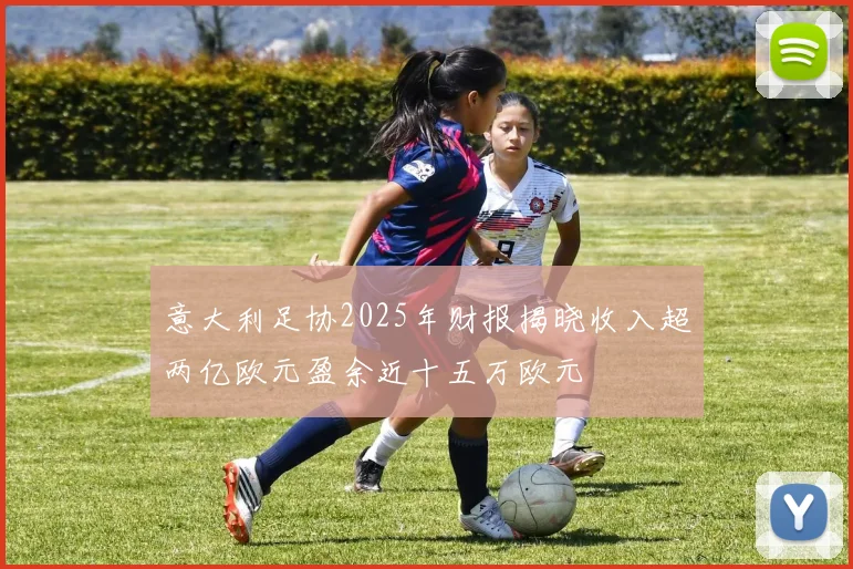 意大利足协2025年财报揭晓收入超两亿欧元盈余近十五万欧元