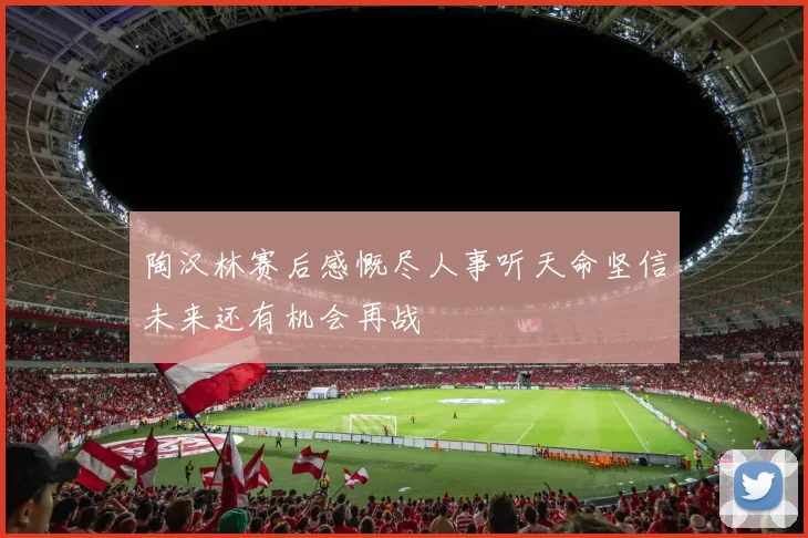 陶汉林赛后感慨尽人事听天命坚信未来还有机会再战